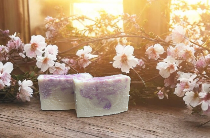 Blossom Bliss